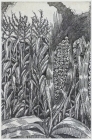El Maise de Craneos - Etching, Image Size  5.75 x 8.75"